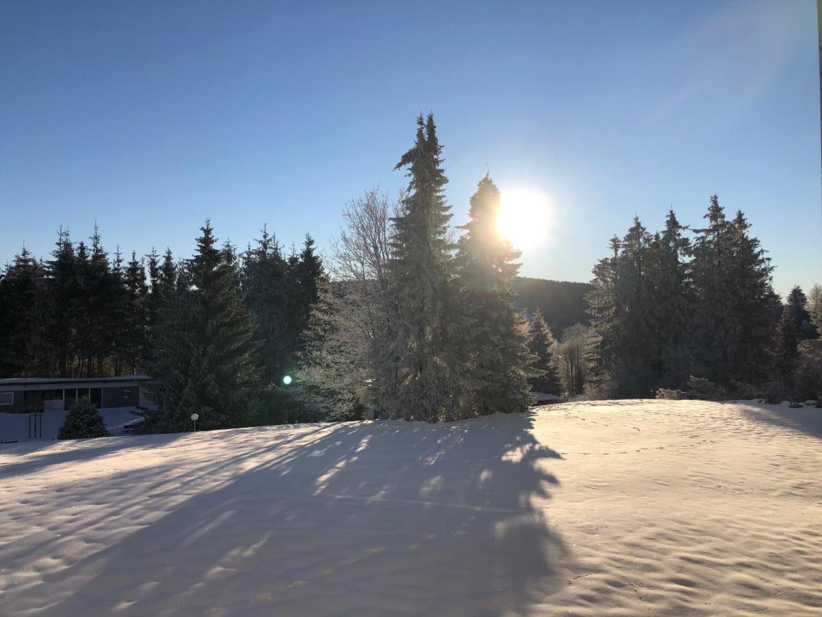 Bocksbergglueck In Hahnenklee, Endreinigung, Bezogene Betten, Handtuecher Inklusive Appartement Goslar Buitenkant foto