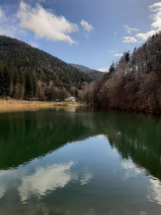 Bocksbergglueck In Hahnenklee, Endreinigung, Bezogene Betten, Handtuecher Inklusive Appartement Goslar Buitenkant foto