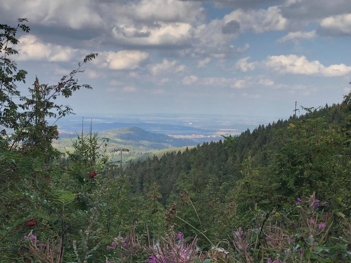 Bocksbergglueck In Hahnenklee, Endreinigung, Bezogene Betten, Handtuecher Inklusive Appartement Goslar Buitenkant foto